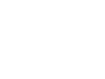 Animal First