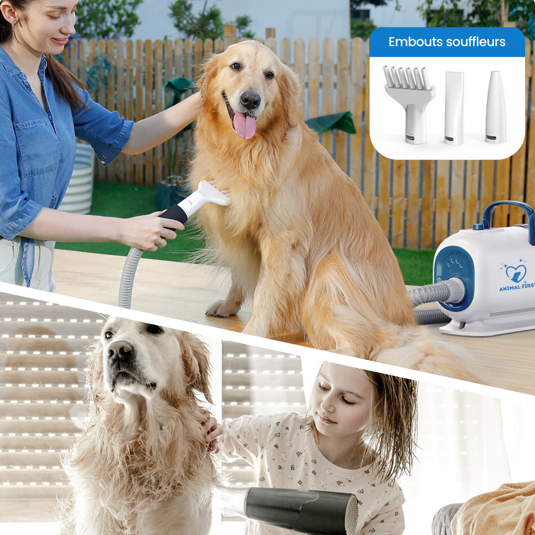 Kit de toilettage chien et chat | + 1 shampoing offert | offre à durée limitée