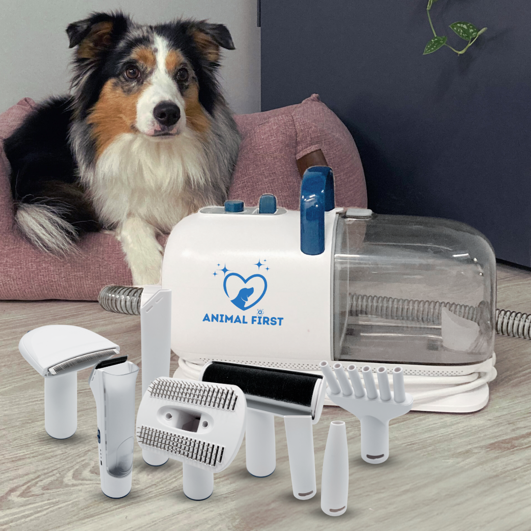 Kit de toilettage chien et chat