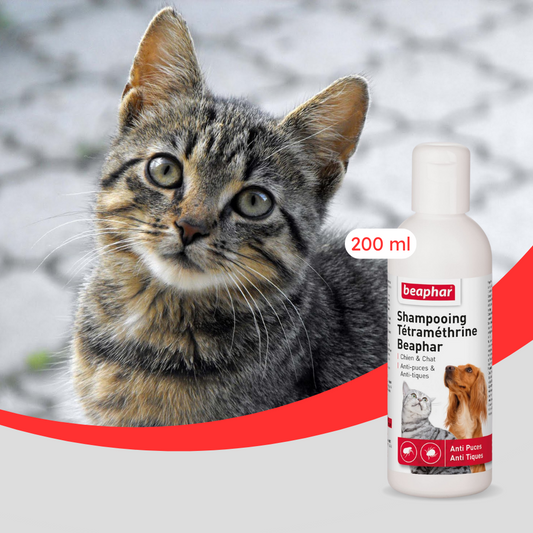 Shampoing Antiparasitaire Chien et Chat 200ml