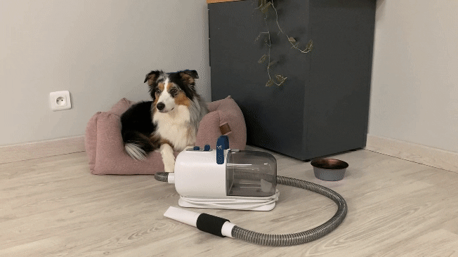 Moufle De Toilettage Pour Animaux - Applicateur Doux Pour Chat, Chien, Lapin - Taille Unique 24x17 Cm - Polyester Lavable