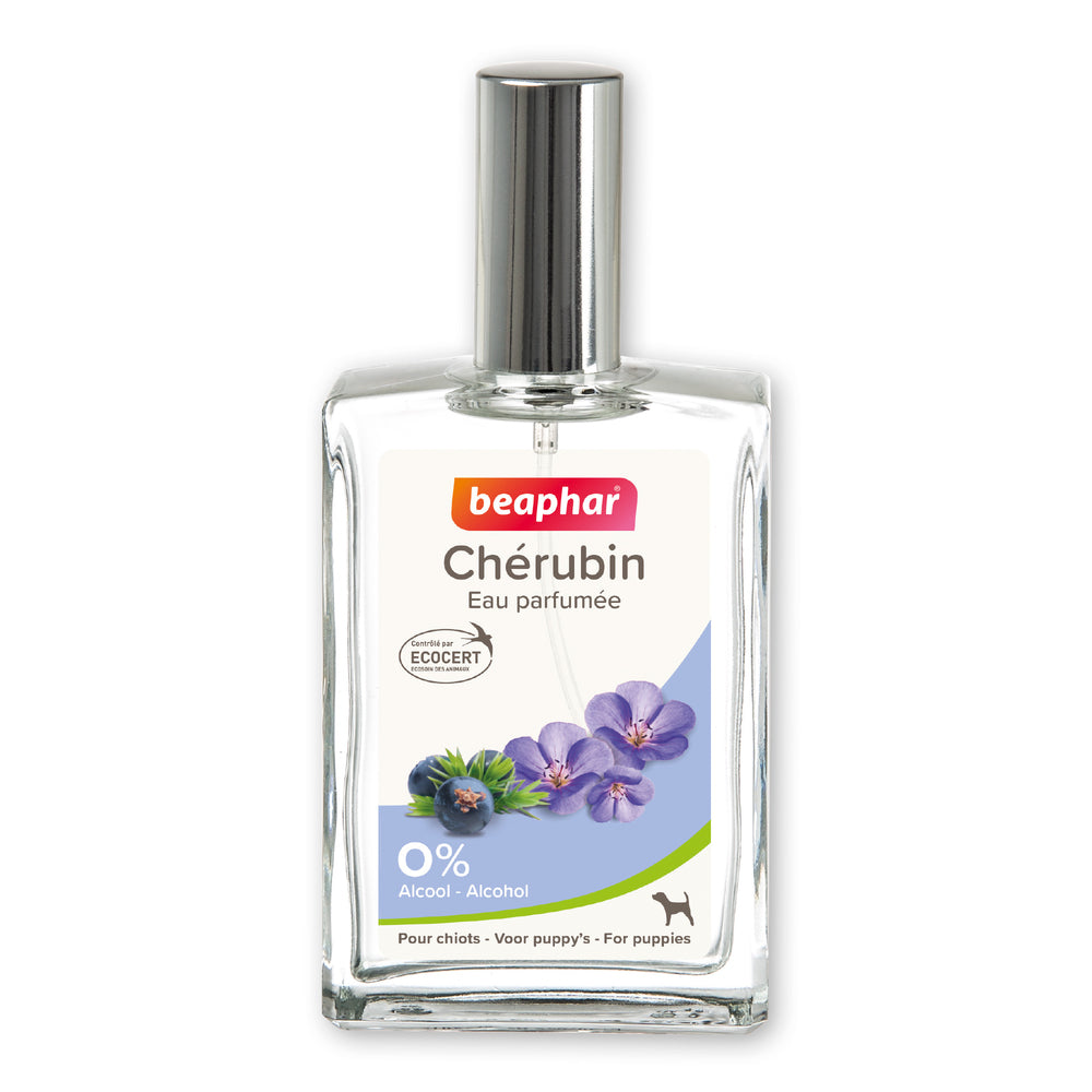 Eau de Toilette Chérubin pour Chiots 50ml