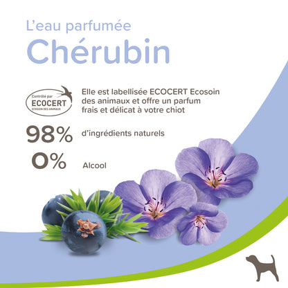 Eau de Toilette Chérubin 98% d'Ingrédients Naturels 0% Alcool