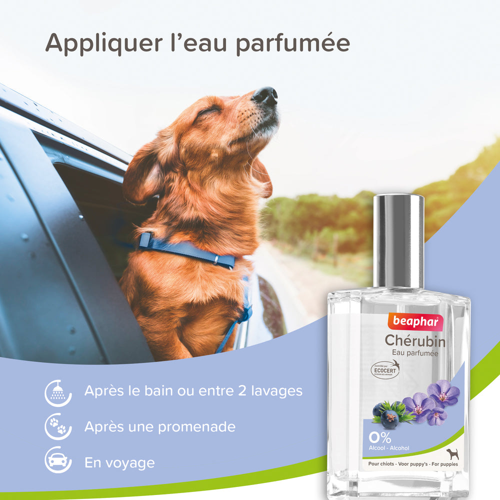 Eau de Toilette Chérubin Après le Bain, une Promenade, en Voyage