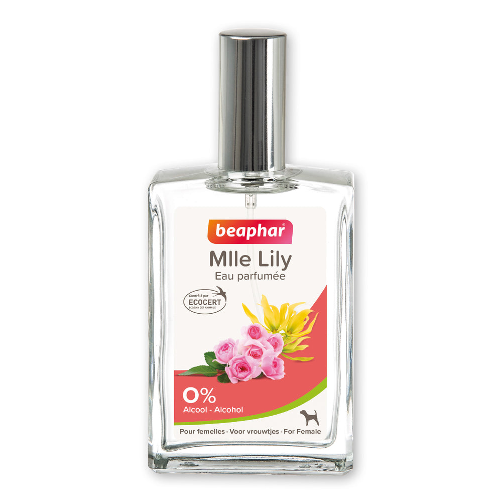 Eau de Toilette Mlle Lily pour Femelles 50ml