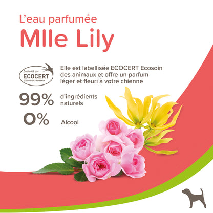 Eau de Toilette Mlle Lily 99% d'Ingrédients Naturels 0% Alcool