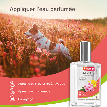 Eau de Toilette Mlle Lily Après le Bain, une Promenade, en Voyage