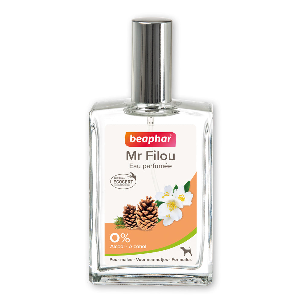 Eau de Toilette Mr Filou pour Mâles 50ml