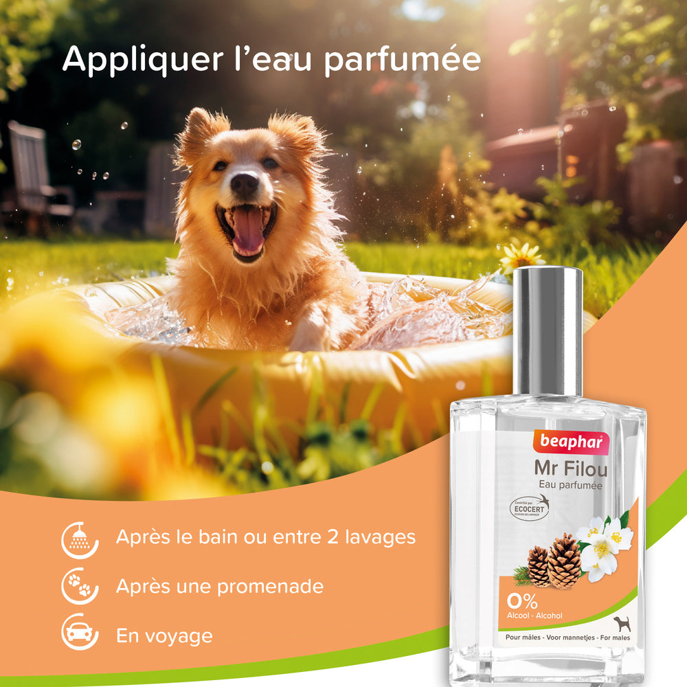 Eau de Toilette Mr Filou Après le Bain, une Promenade, en Voyage