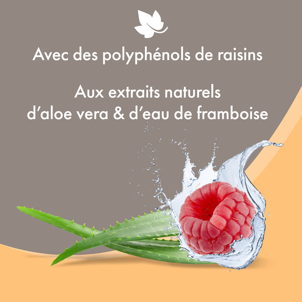 Shampoing Sec Extraits Naturels d'Aloe Vera et d'Eau de Framboise